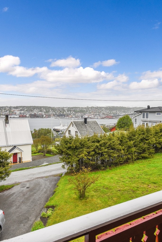 Utsikt. Galleribilde