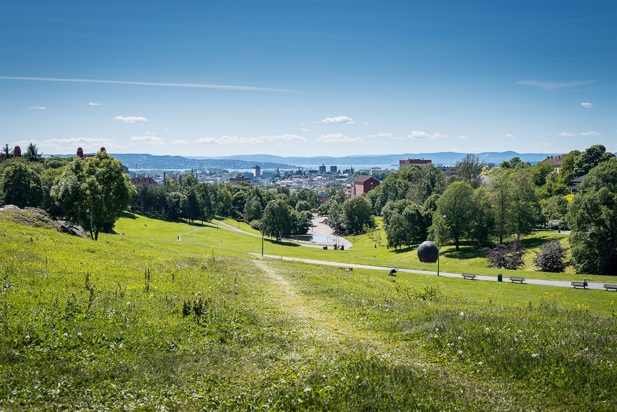 I parken får du også nydelig utsikt mot byen og fjorden - et deilig sted å tilbringe sommerdager. Galleribilde