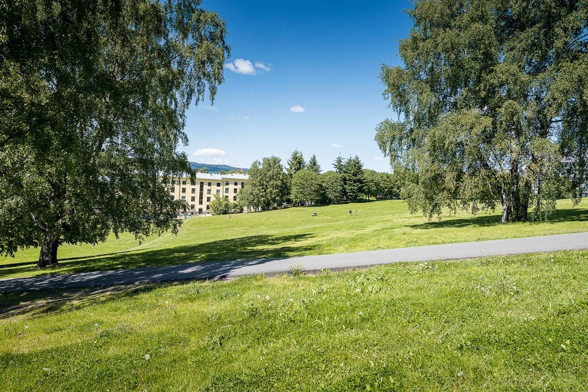 Rett over gaten ligger vakre Torshovdalen, et herlig sted for late dager i solen. Galleribilde
