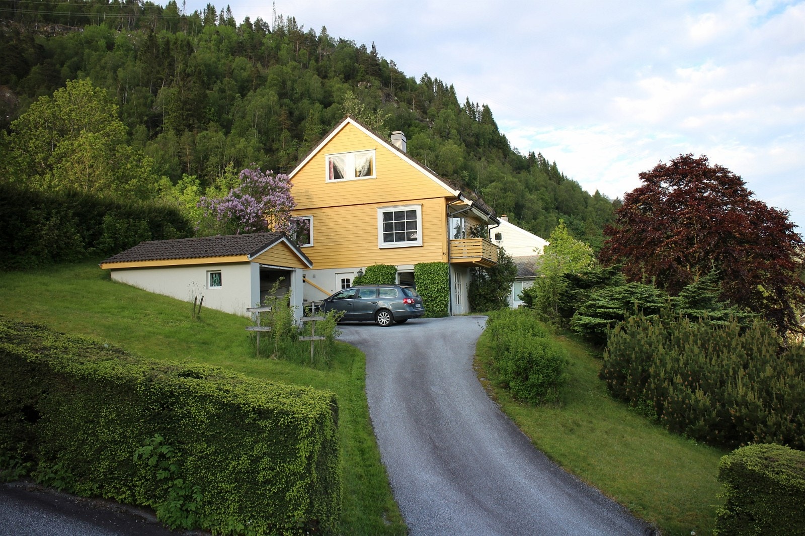 Tilkomstveg Galleribilde