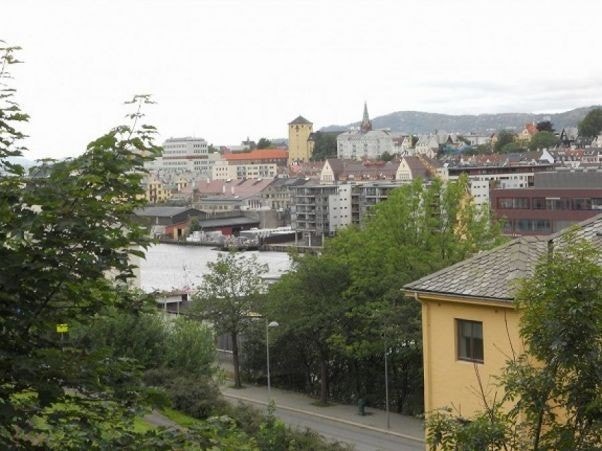 Fin utsikt mot fløyen og Ulrikken. Galleribilde