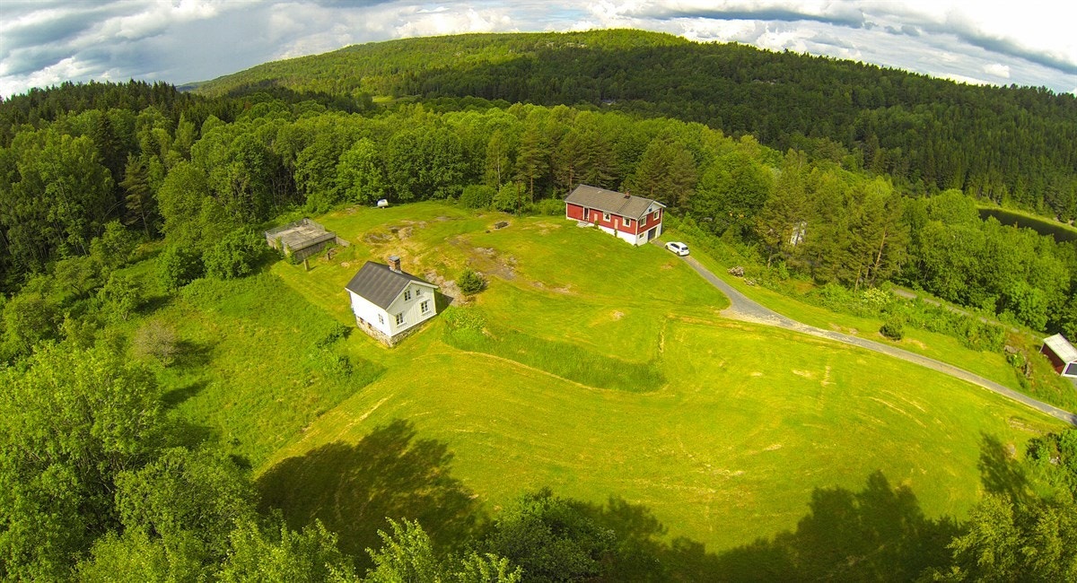 G0013463 Galleribilde