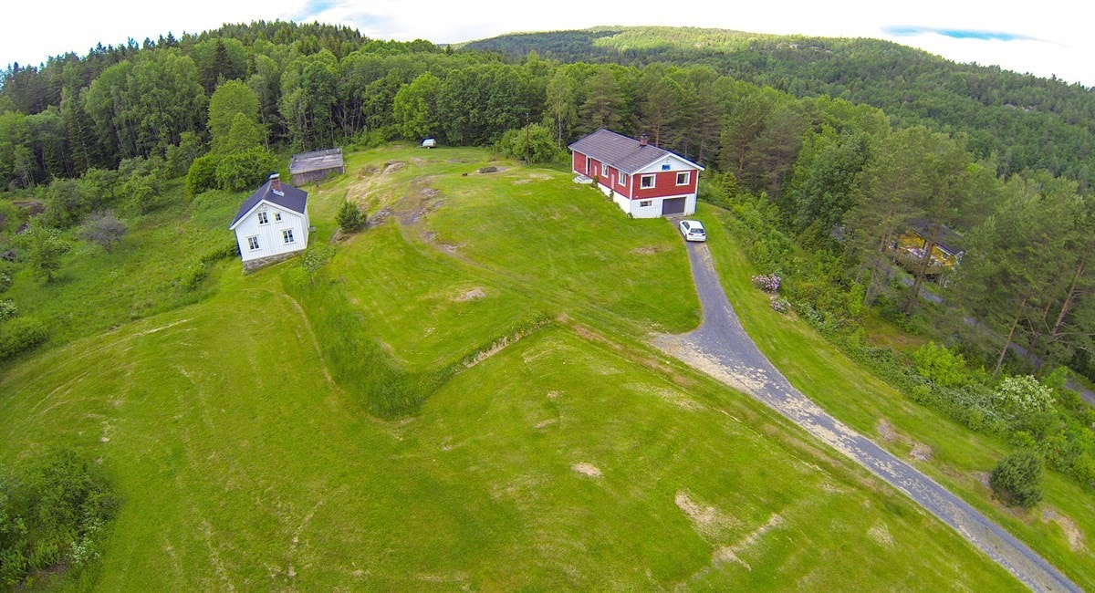 G0013517 Galleribilde