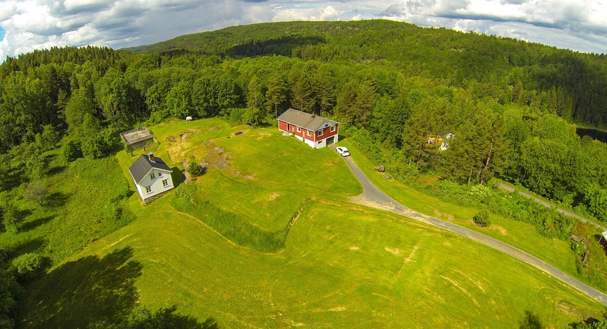 G0013405 Galleribilde