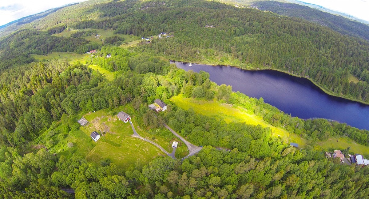 G0013481 Galleribilde