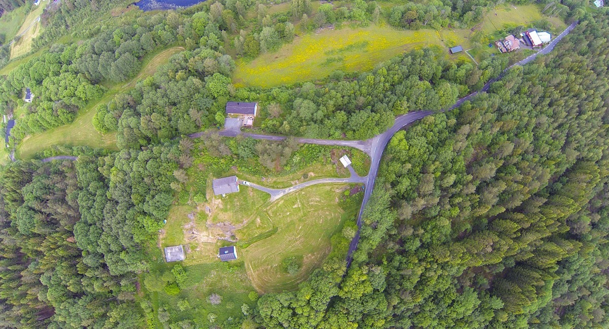 G0013498 Galleribilde