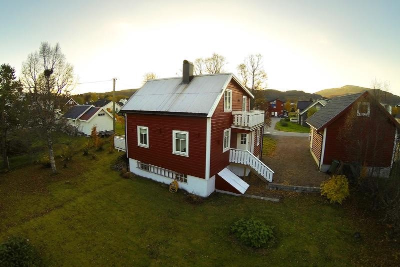 Enkel beplantning Galleribilde