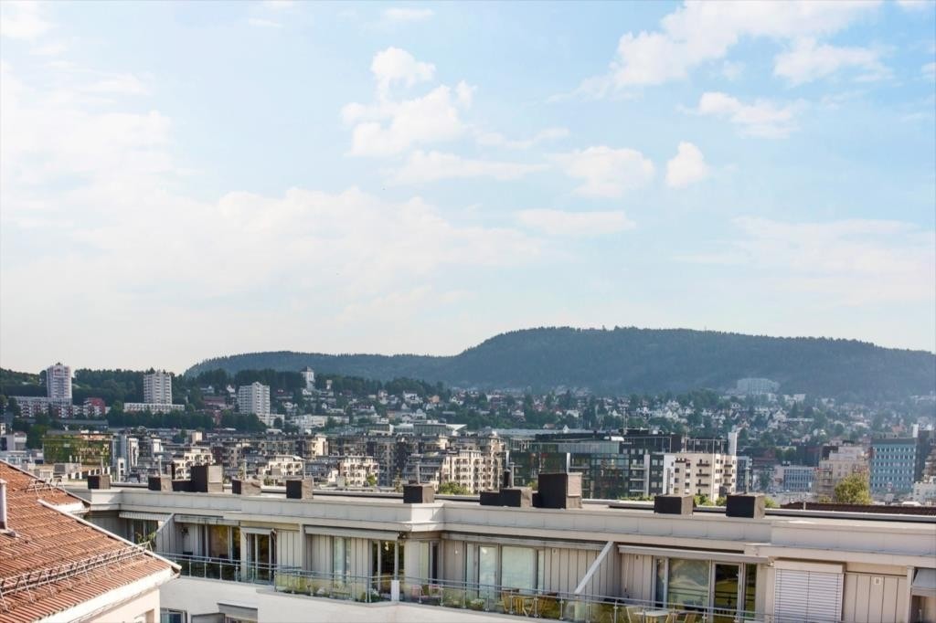 To felles takterrasser med fantastisk utsikt og sol "hele dagen" Galleribilde