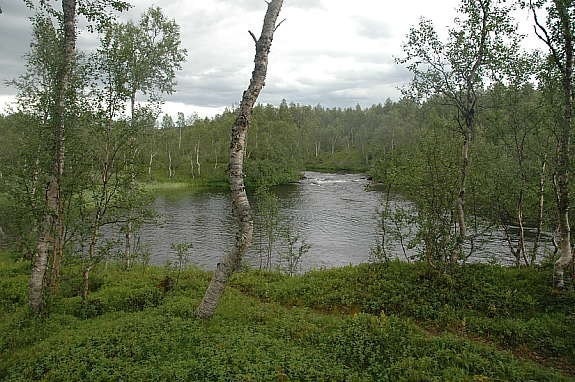 Skallvasselva som renner ned i Toftevatnet (ca. 100 meter fra tomta) Galleribilde