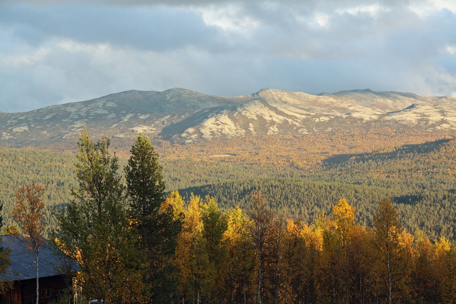 Flott utsikt til Rutenfjella fra Heimstulen. FOTO: Anne Mari Lo Galleribilde
