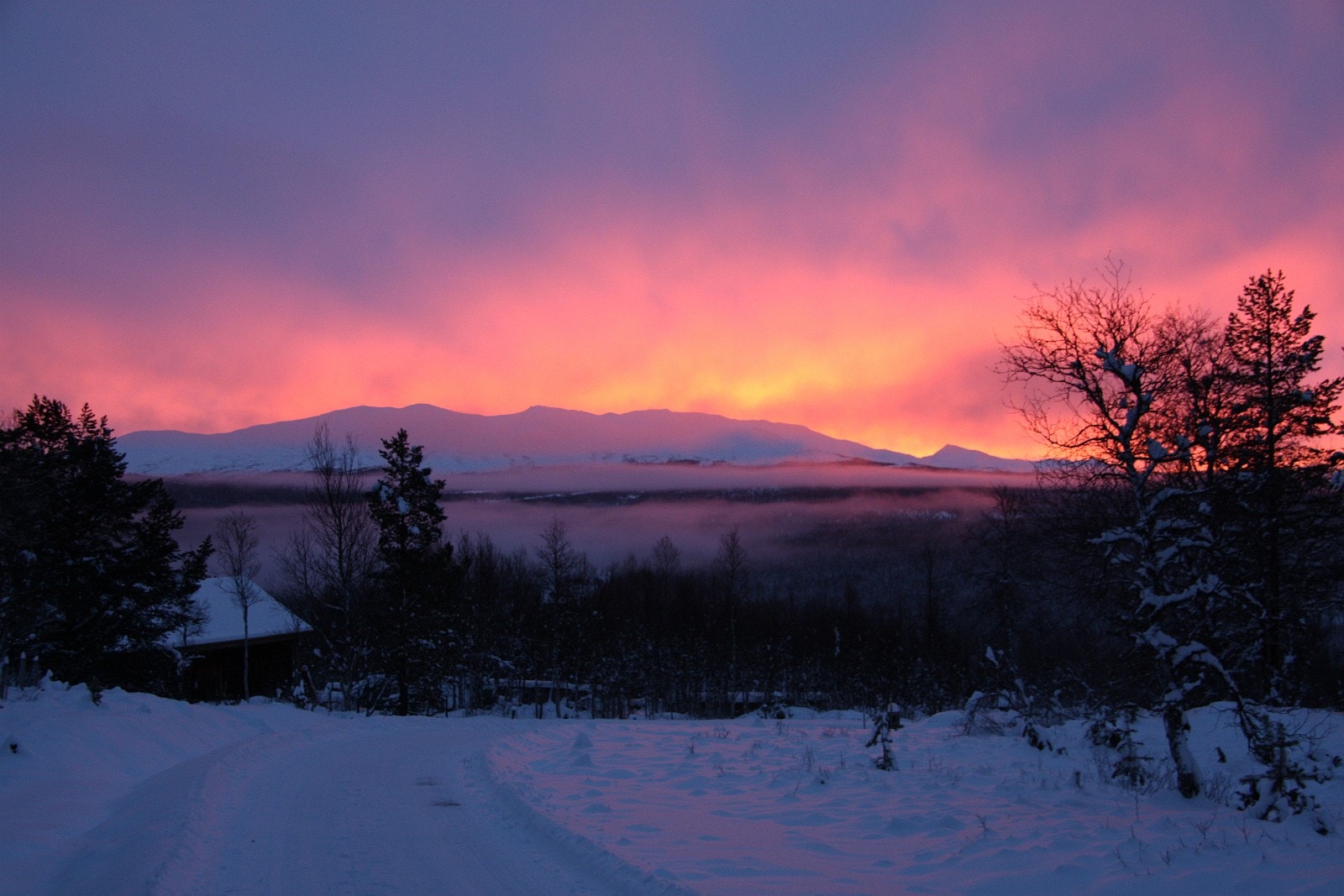 Lysfest over Heimstulen. Adventslyset farger himmelen i det sola stiger opp over Rutenfjella. FOTO: Anne Mari Lo Galleribilde