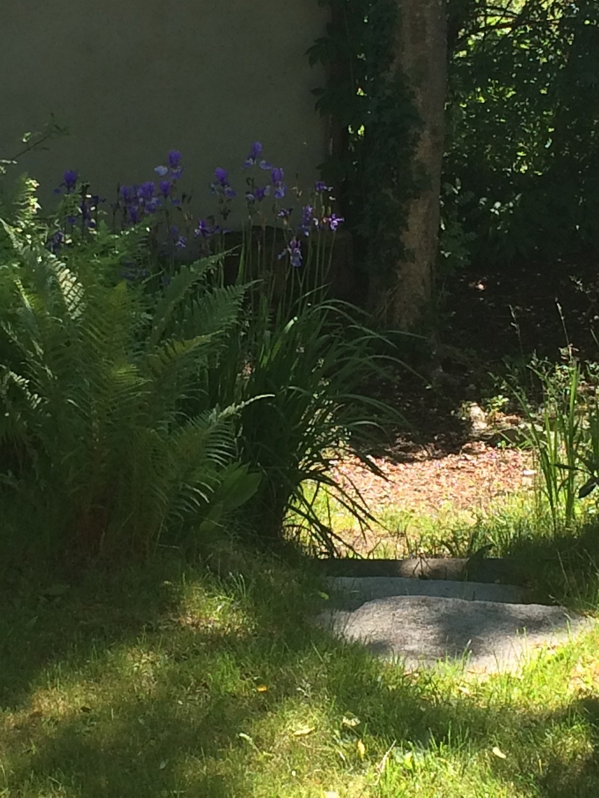 Utsikt til, men uten tilgang hage Galleribilde