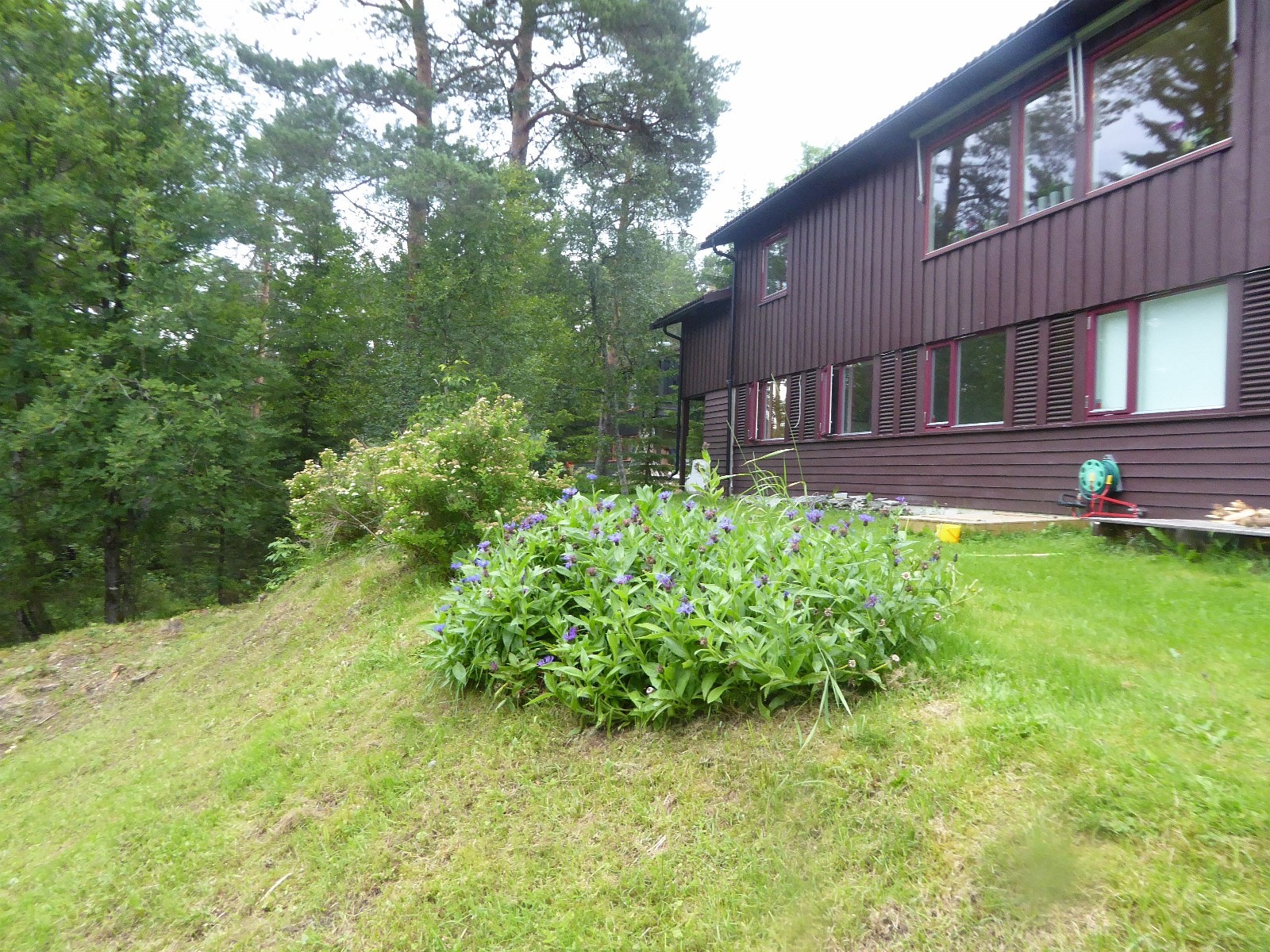 Uteplassen Galleribilde