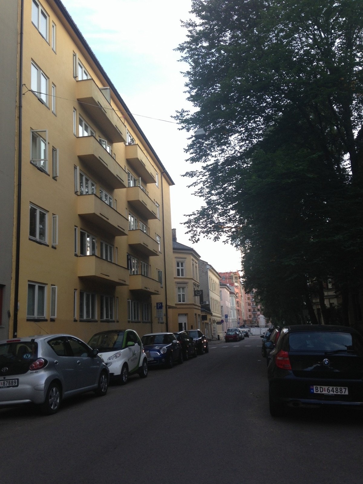 Fine trær i gaten. Galleribilde