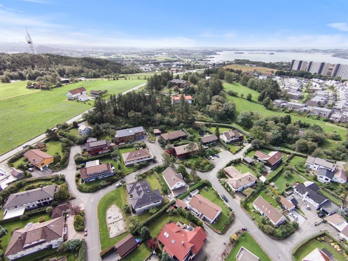 Nær Ullandhaugskogen og Universitetet Galleribilde