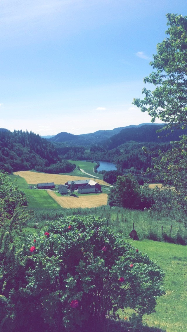 Flott utsikt fra platt, med sol fra morgen til kveld! Galleribilde