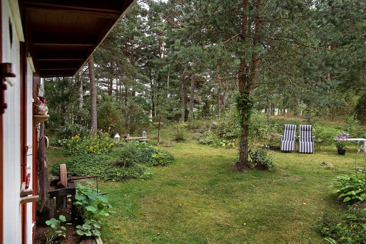 3 hage 1 Galleribilde