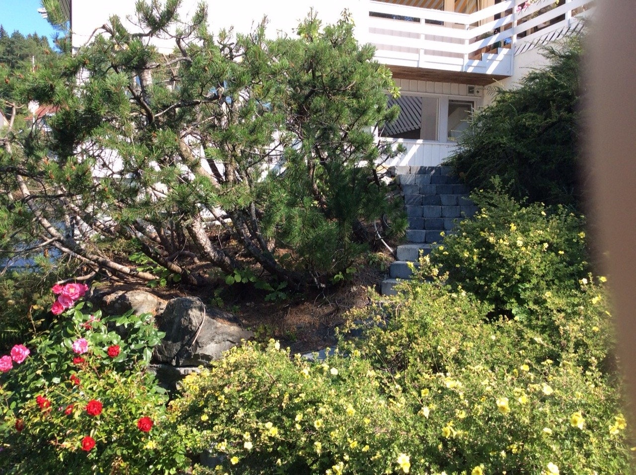 TILKOMST TERRASSE Galleribilde