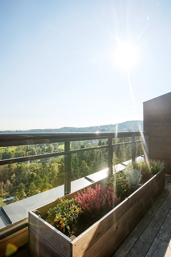 Terrasse Galleribilde