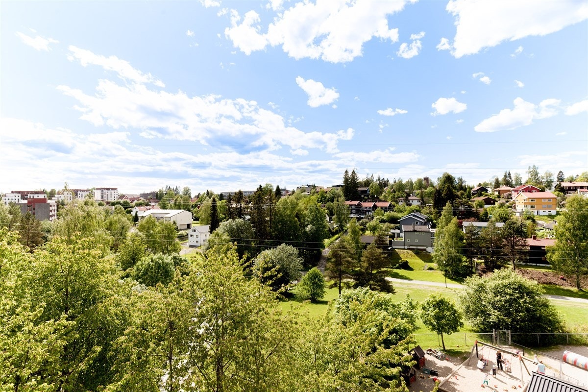 Flott utsikt fra leiligheten over nærområdet og Mærradalen Galleribilde