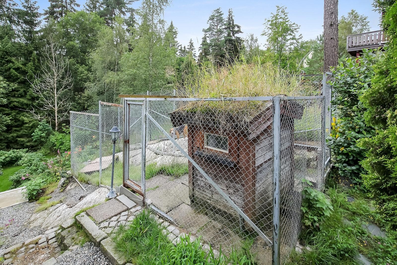 Hundegård Galleribilde