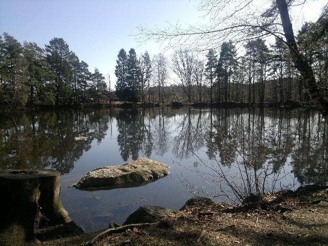 Fra Brydedammen på oversiden av eiendommen. Galleribilde