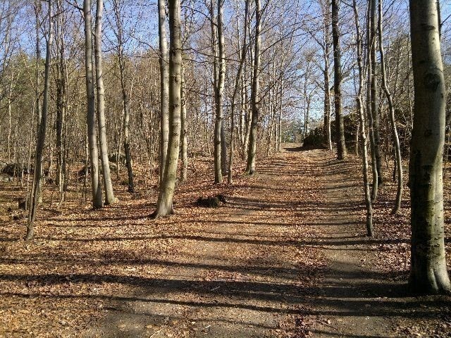 Turterreng like i nærheten Galleribilde