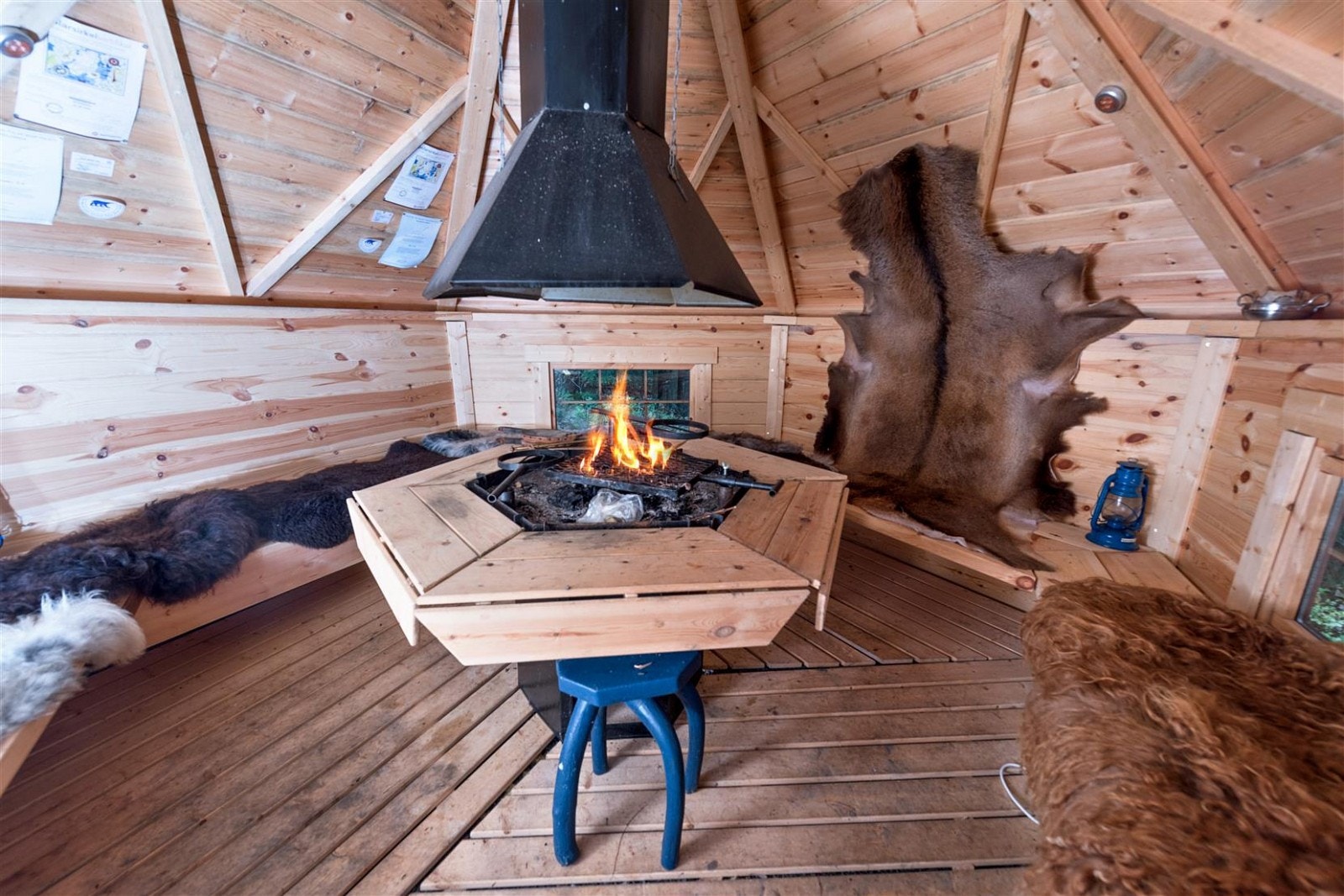 Grillkoie Galleribilde