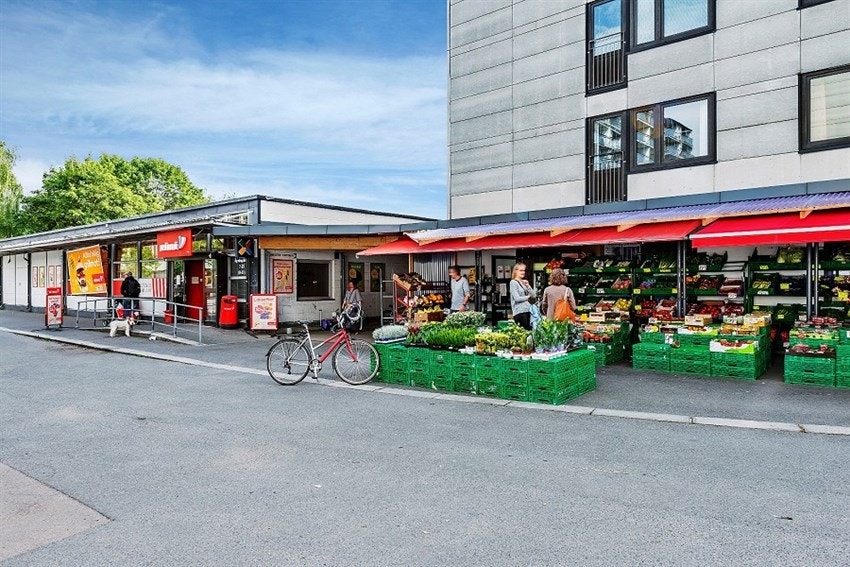 Nærområdet. Galleribilde