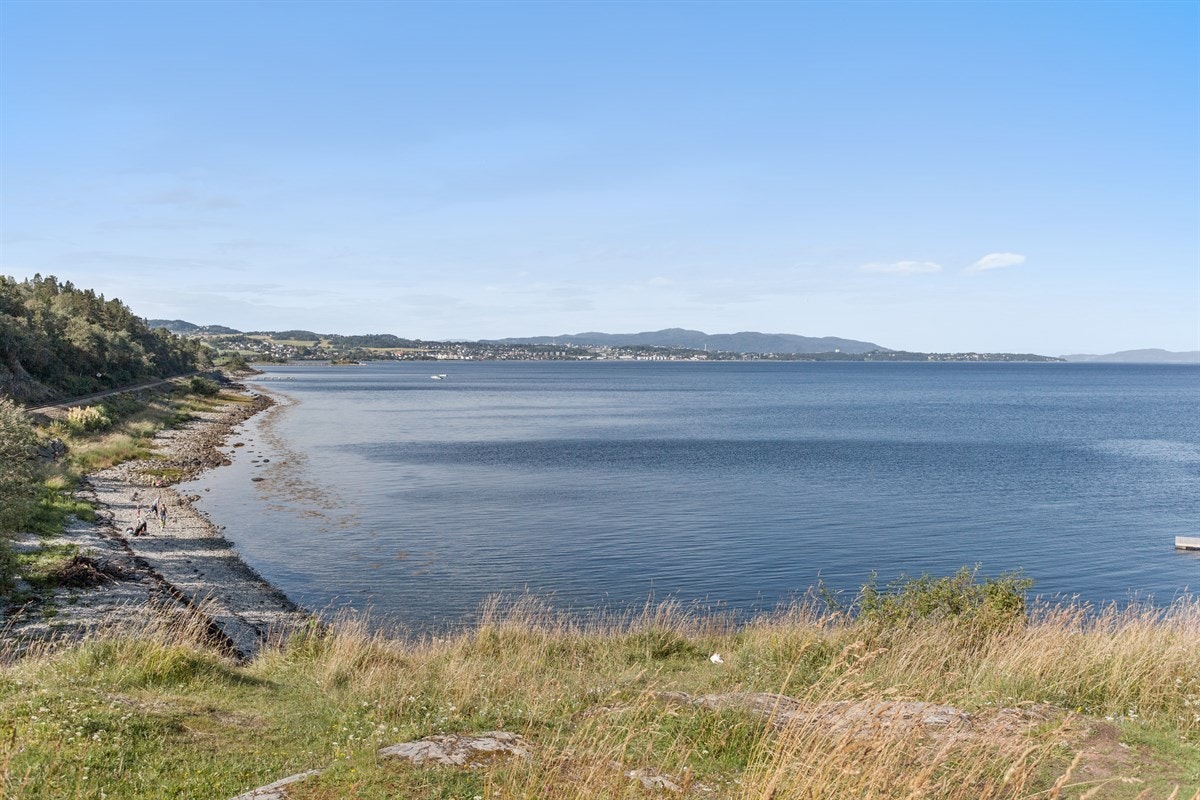 Frodig nærområde med idyllisk strand for solrike sommerdager. Galleribilde