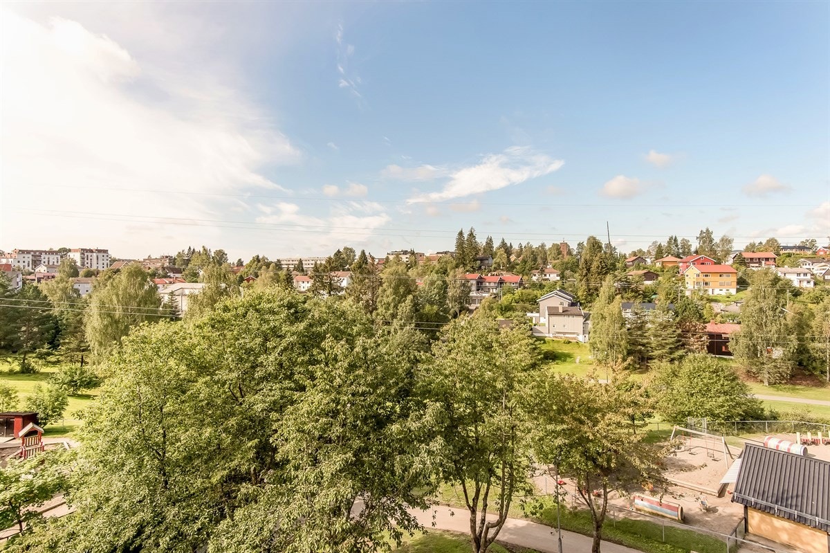 Hyggelig utsikt fra verandaen mot Mærradalen Galleribilde