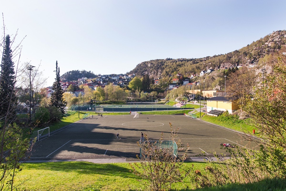 Nærområdet. Galleribilde