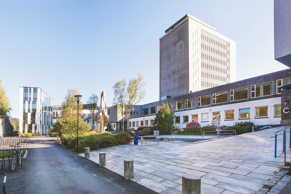 Nærområdet. Galleribilde