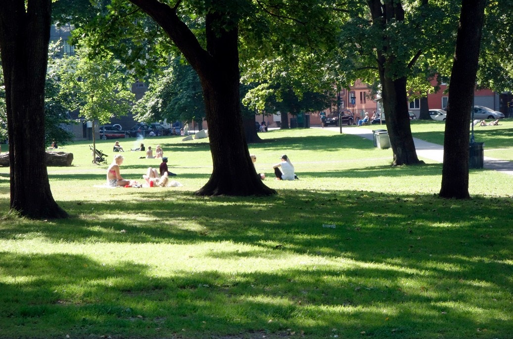 Sofienbergparken Galleribilde
