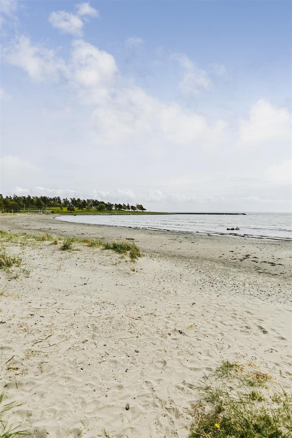 Ringshaugstranda Galleribilde