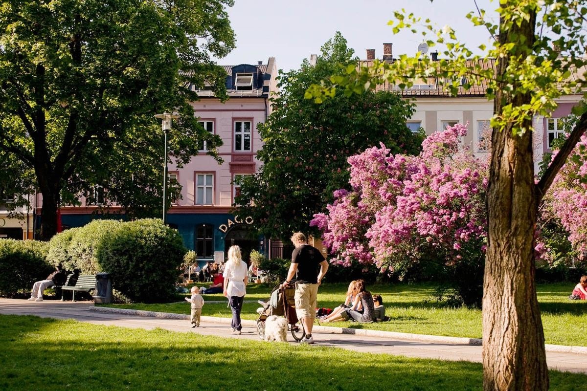 Nærhet til flotte tur- og friluftsområder som blant annet Olaf Ryes plass, Sofienbergparken, Birkelunden, Botanisk Hage, Tøyenparken, Ola Narr osv. Galleribilde