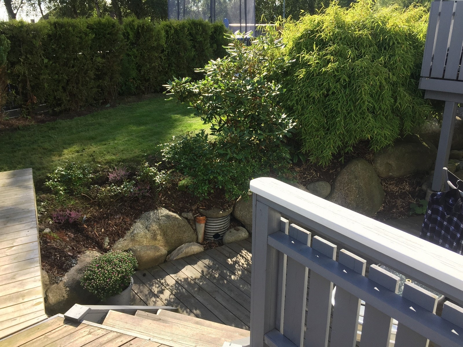 Terrasse/platting. Galleribilde