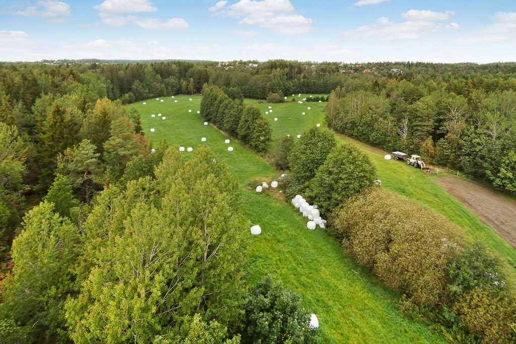 Nærområde. Galleribilde