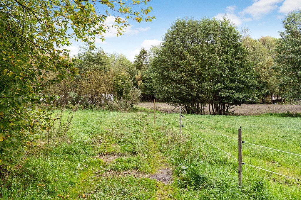 Fra boligen er det turstien rett ut i naturen. Galleribilde