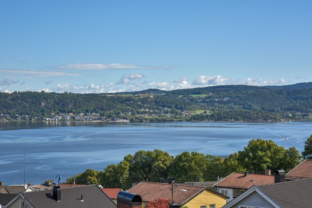 Fantastisk fjordutsikt! Galleribilde
