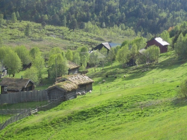 Sommer på Bretningen gård. Huset sees til høyre (rødt). Galleribilde