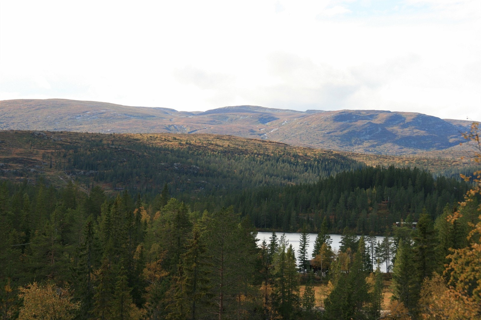 Utsikt innover fjellet Galleribilde