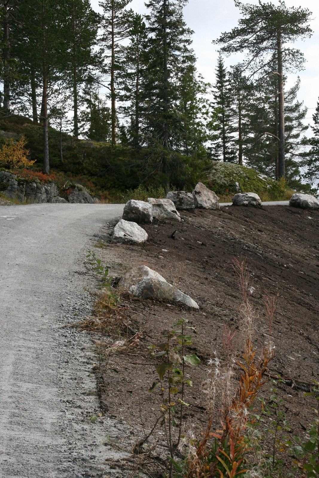 Hytteveien Galleribilde