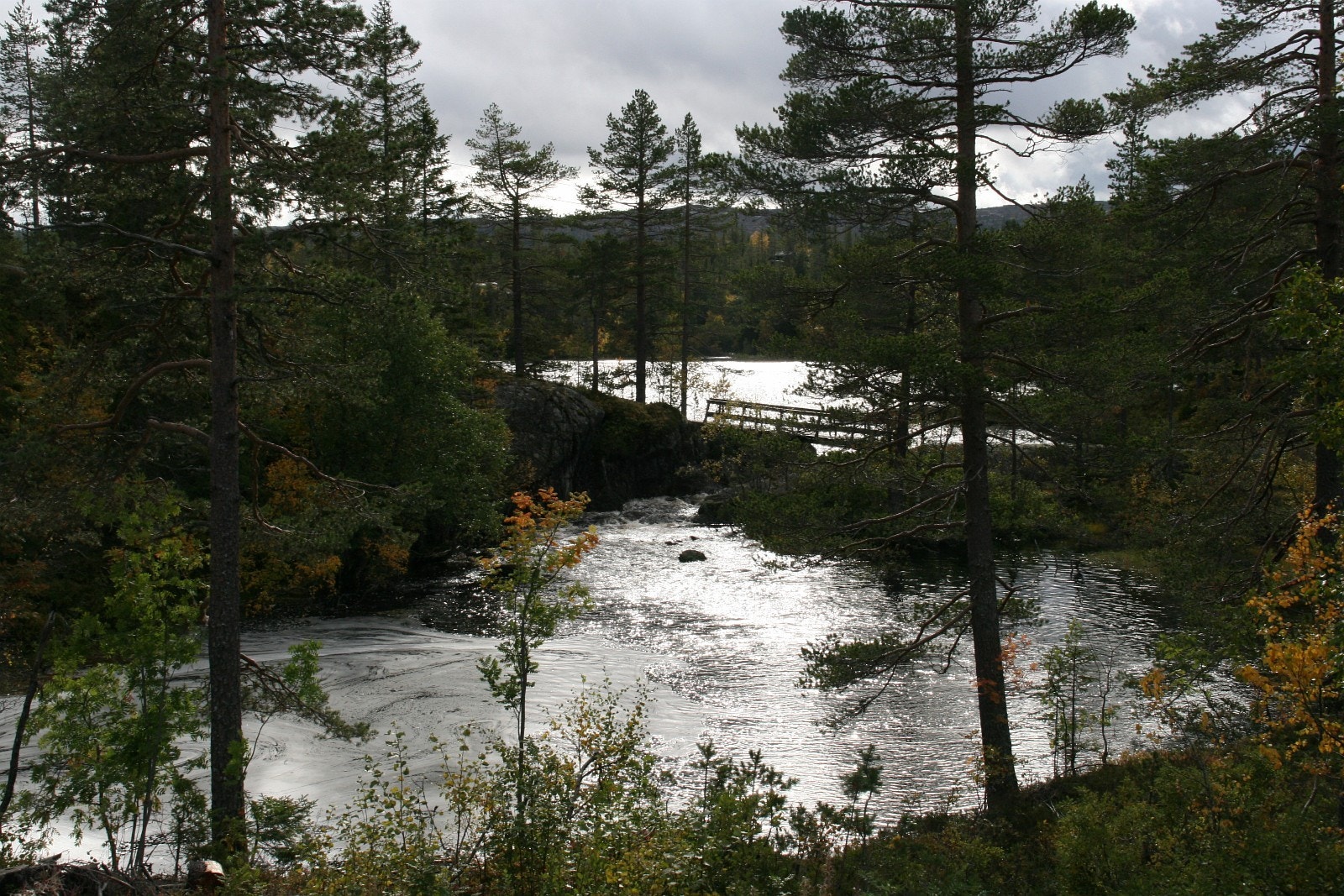 Hyggelige nærområder Galleribilde