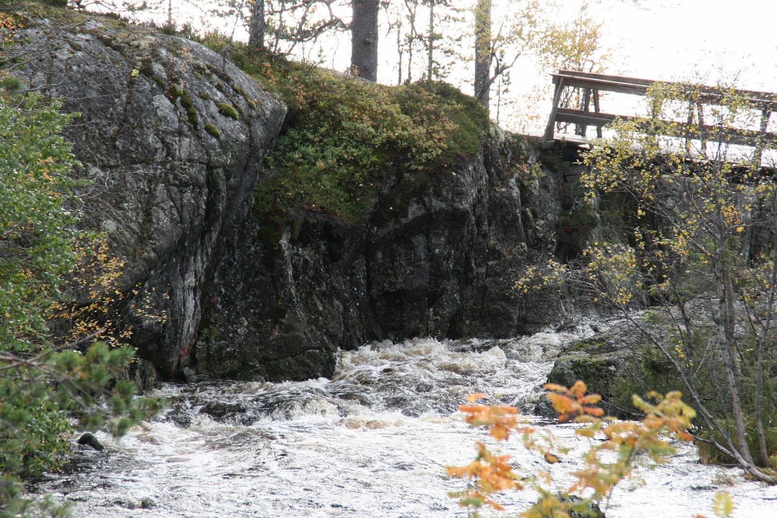 Utløp fra Mjovatn Galleribilde