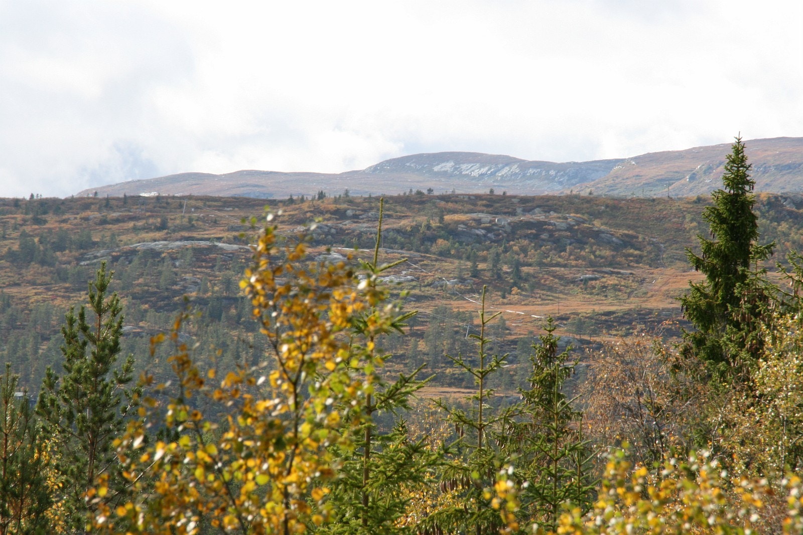Utsikt innover i høyfjellet Galleribilde