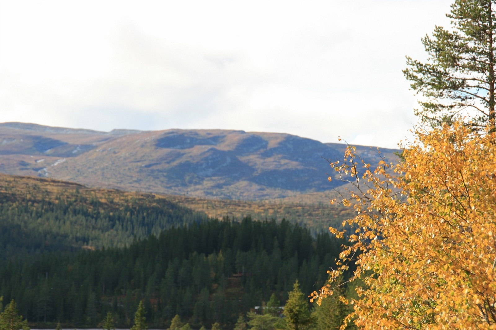 Utsikt innover fjellet Galleribilde