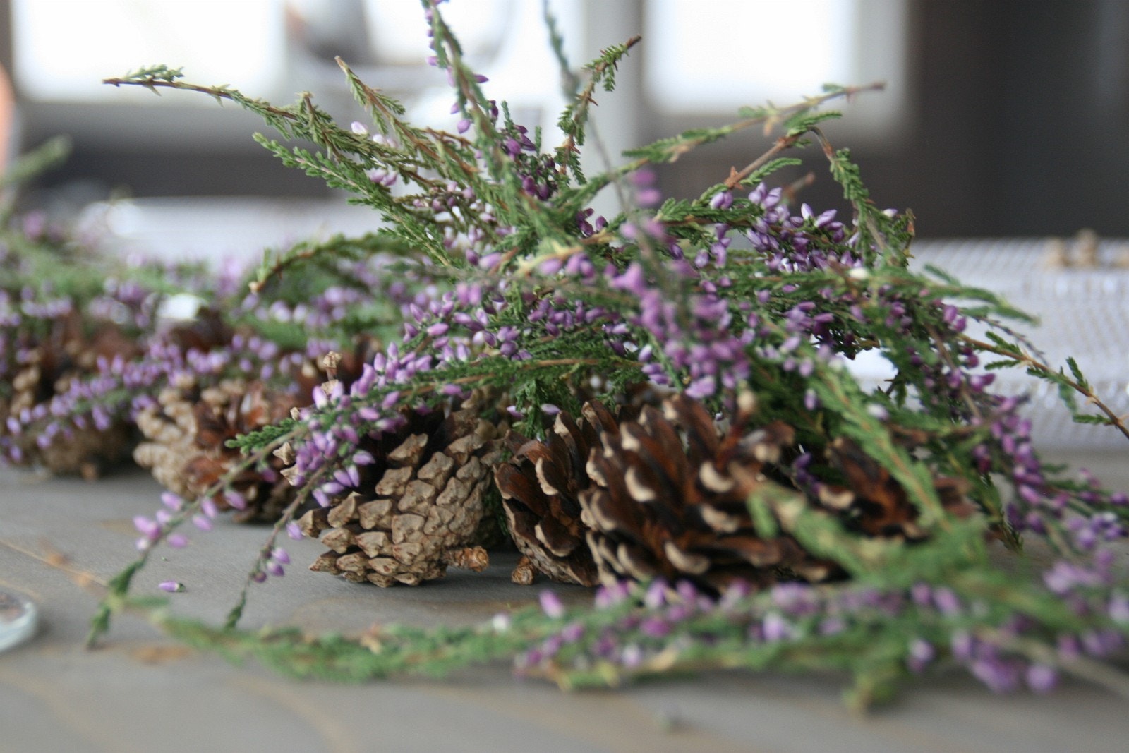 Steming Galleribilde