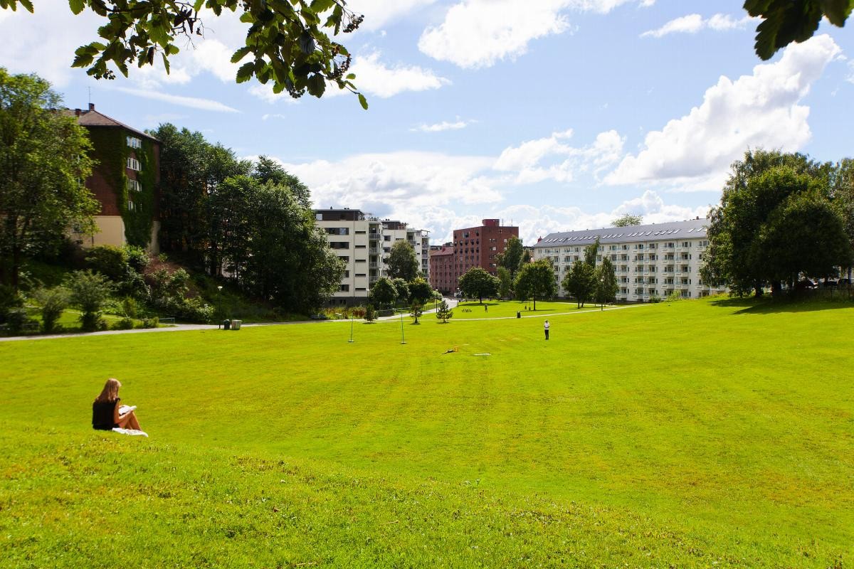 Områdebilde Galleribilde