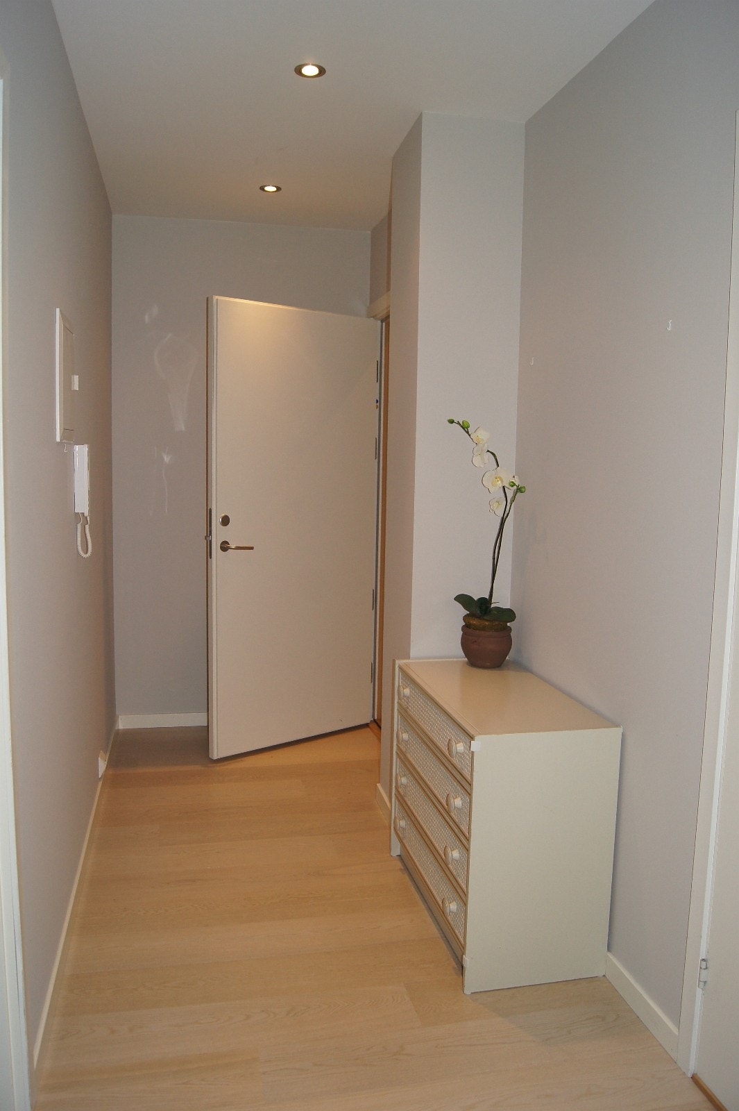 Gang Galleribilde